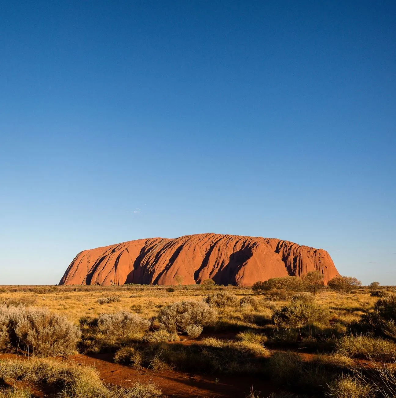 Bushwalking & Waterhole Safety