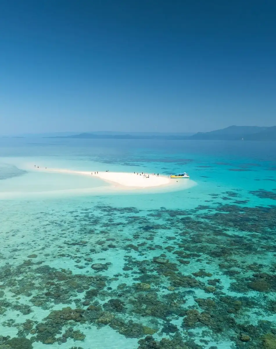 Bellezza e dintorni | Swimming with Dwarf Minke Whales: The Exclusive June/July 2026 Calendar Great Barrier Reef Marine Park