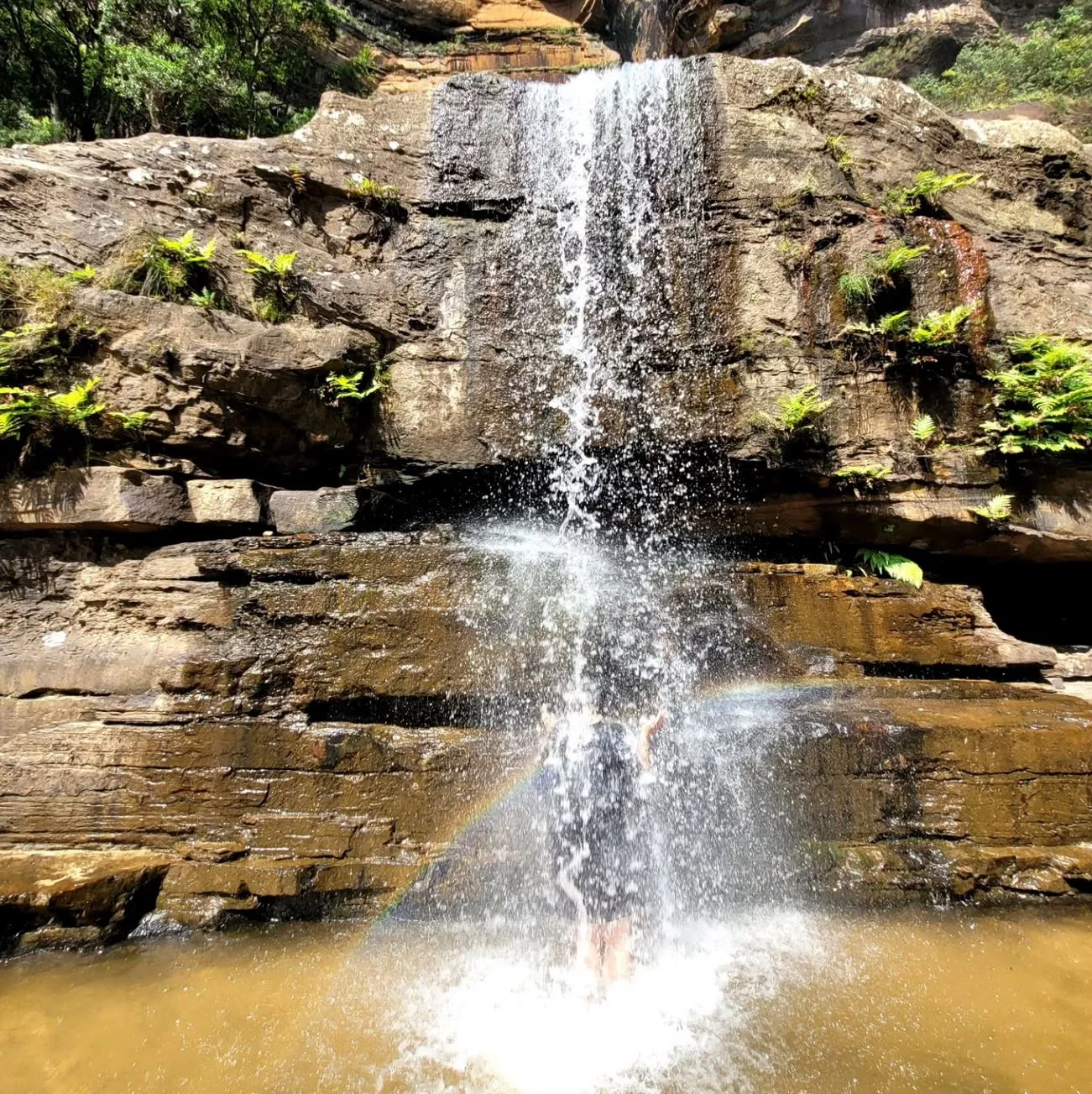 Wentworth Falls