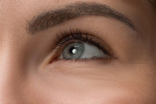 Close-up of a woman's eye showing detailed eyelashes and eyebrow